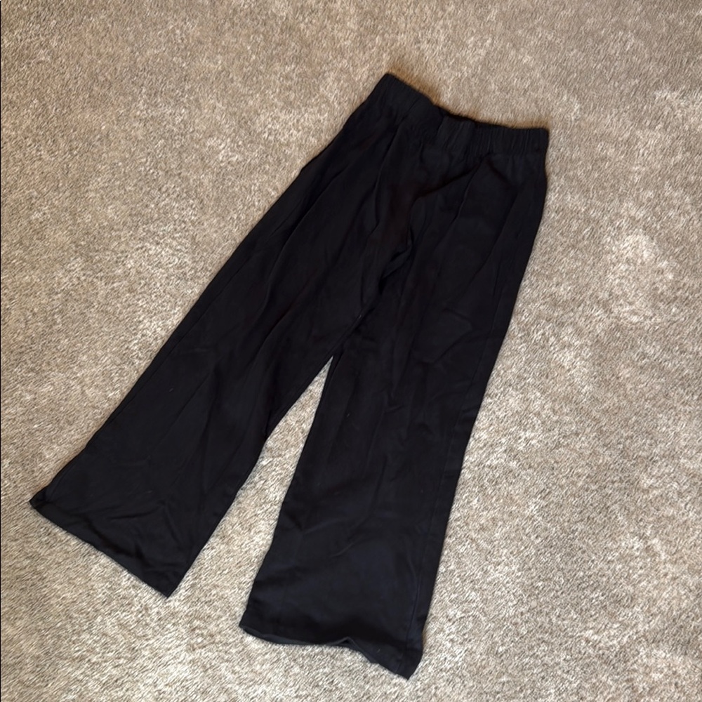 Zara Wide-Leg Pants